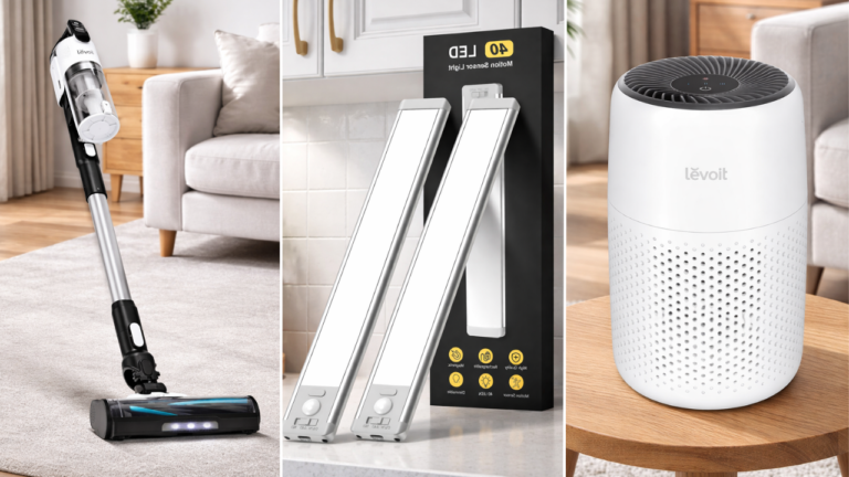 Best Home Essential Under $50 for Studio Apartment